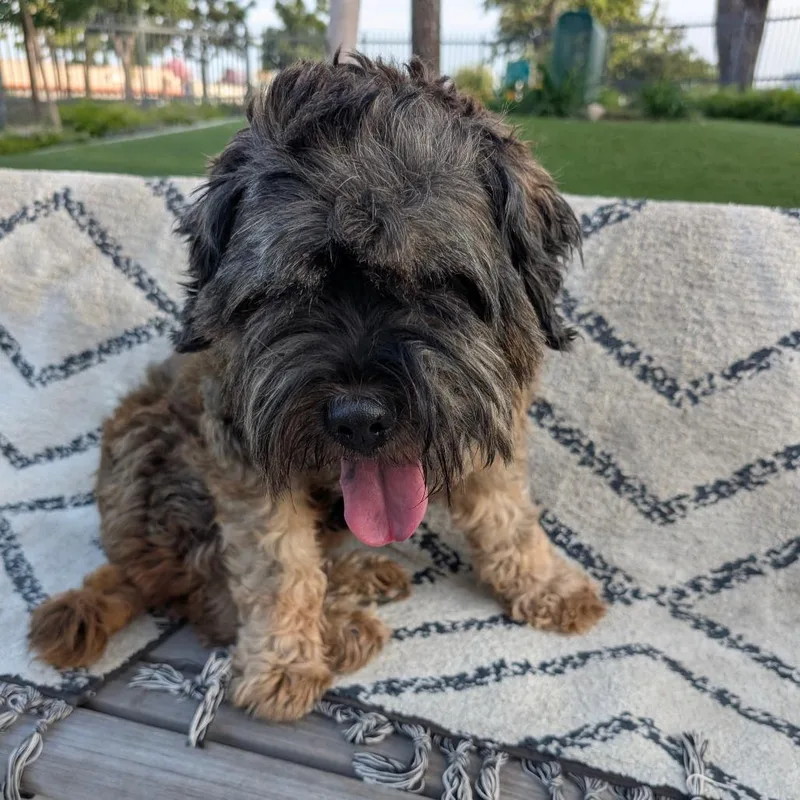 Cuddles City Of Industry