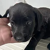 Leroy URGENT