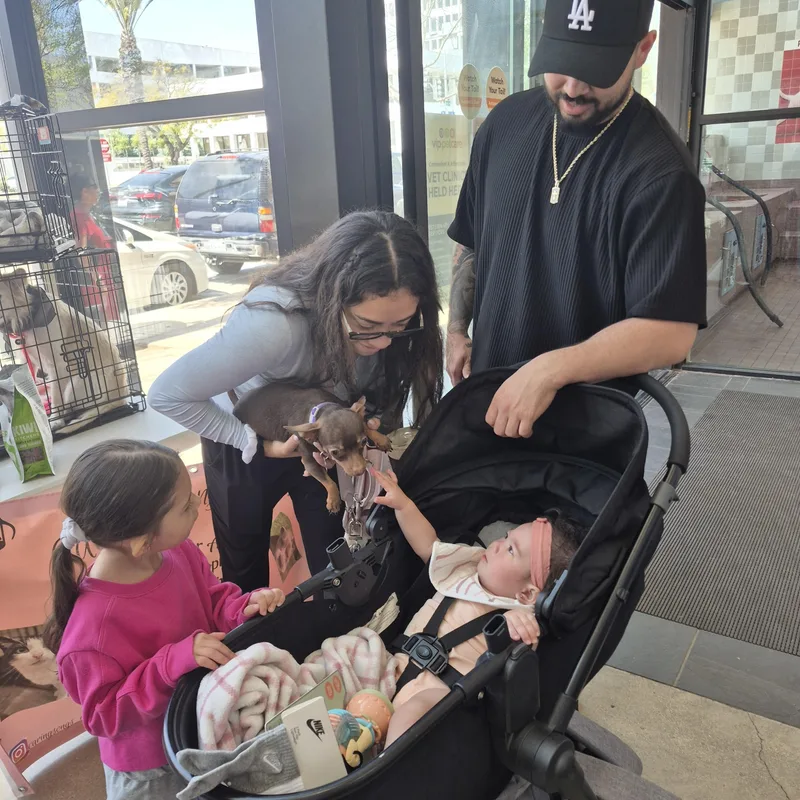 Chiquita Banana thumbnail 2