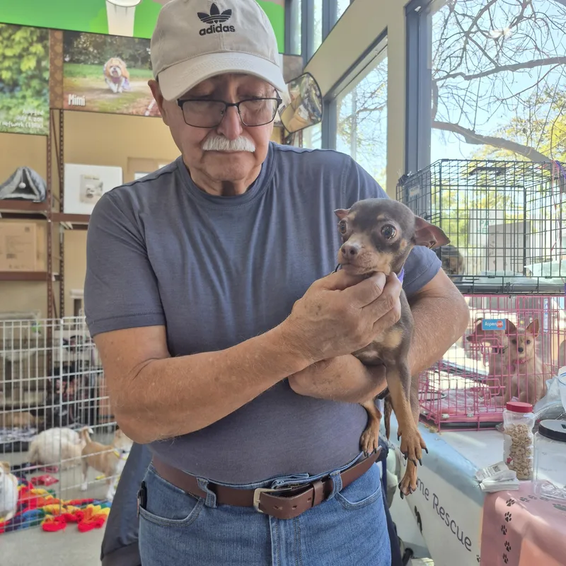 Chiquita Banana thumbnail 3