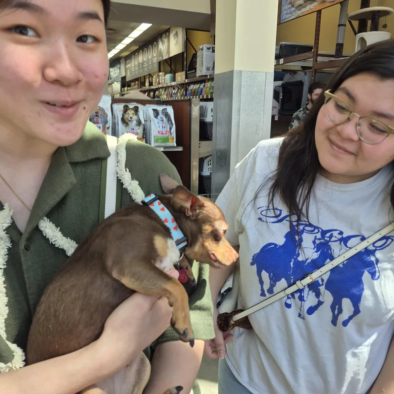 Chiquita Banana thumbnail 4