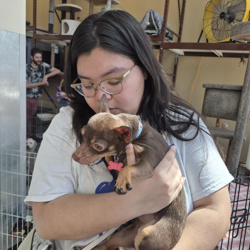 Chiquita Banana thumbnail 5