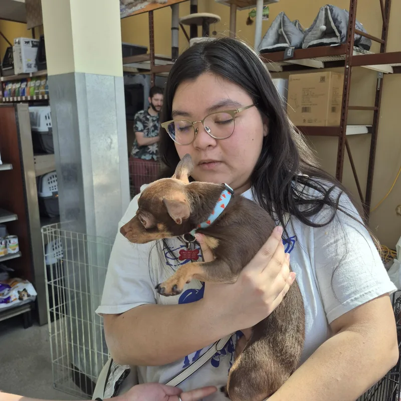 Chiquita Banana thumbnail 6