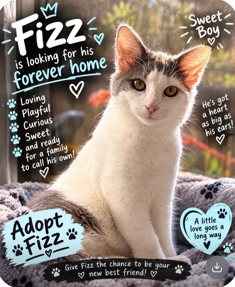 Fizz thumbnail 2