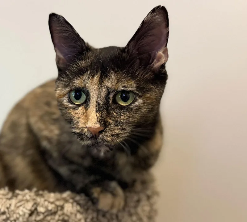 Lucy Jane thumbnail 3