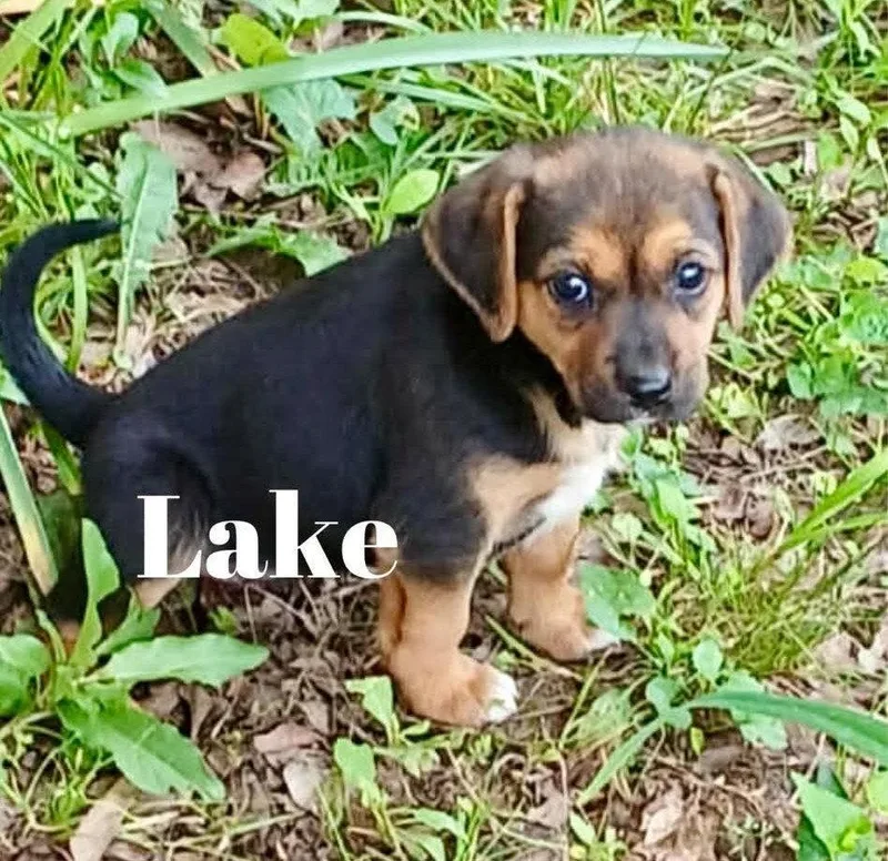 Lake Mgo In Ms thumbnail 2