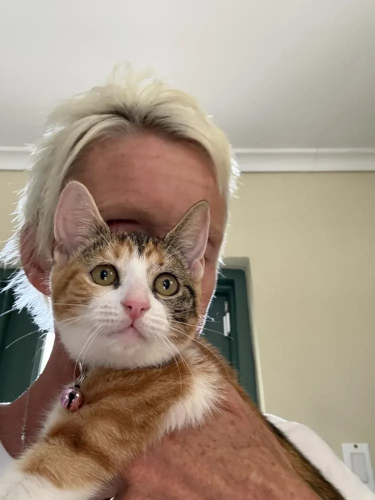 Harriet Potter thumbnail 3