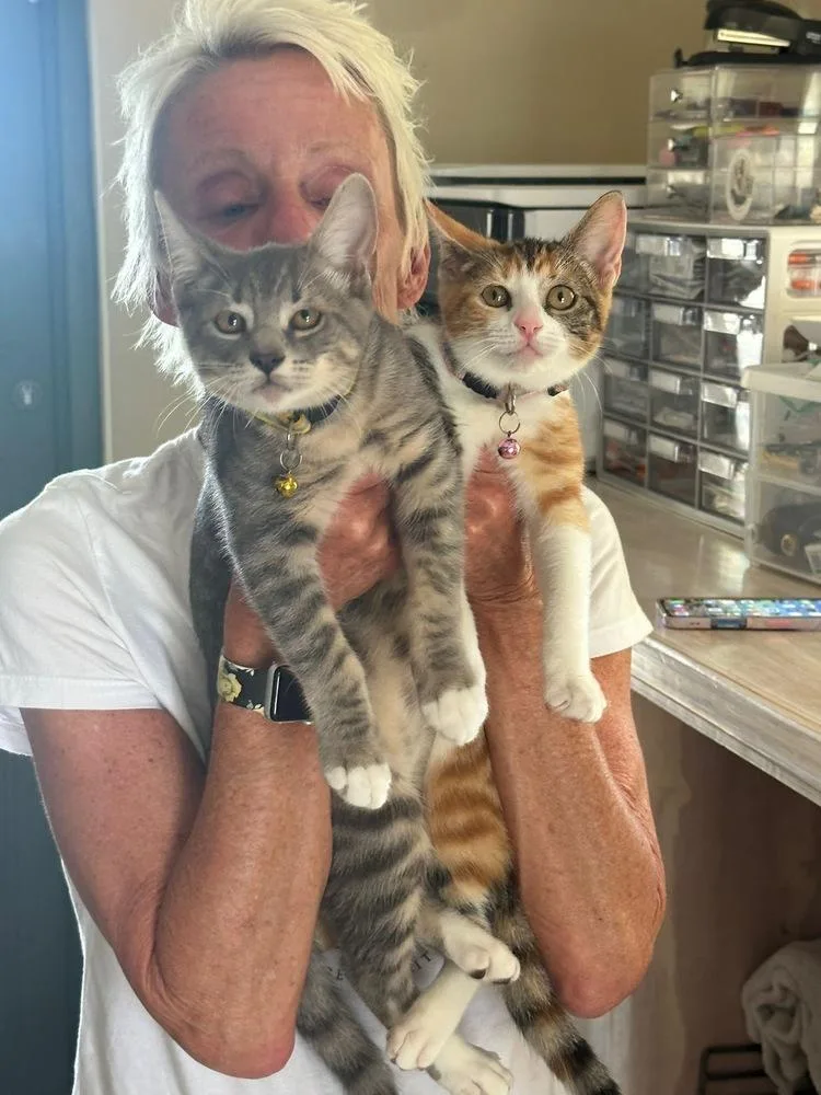 Harriet Potter thumbnail 4