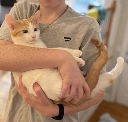 Bingbong thumbnail 2