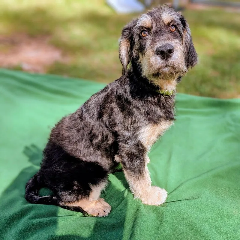 Donna Pinciotti thumbnail 3