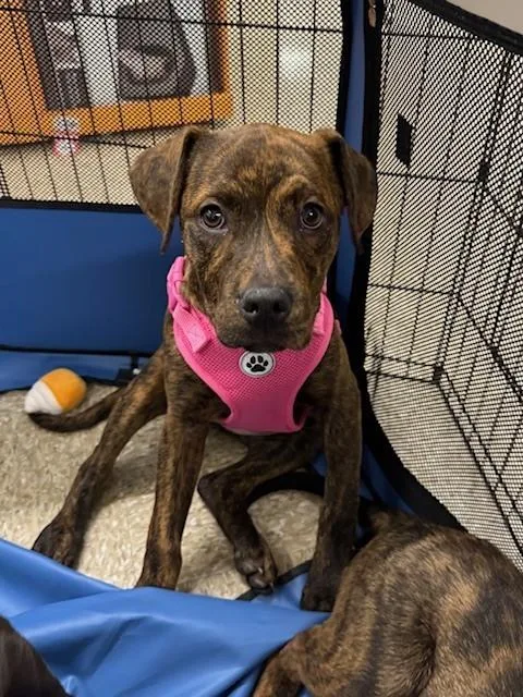 Milkyway thumbnail 2