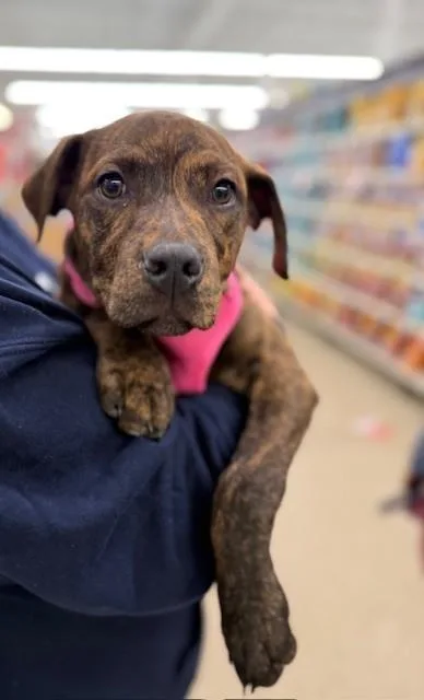 Milkyway thumbnail 3