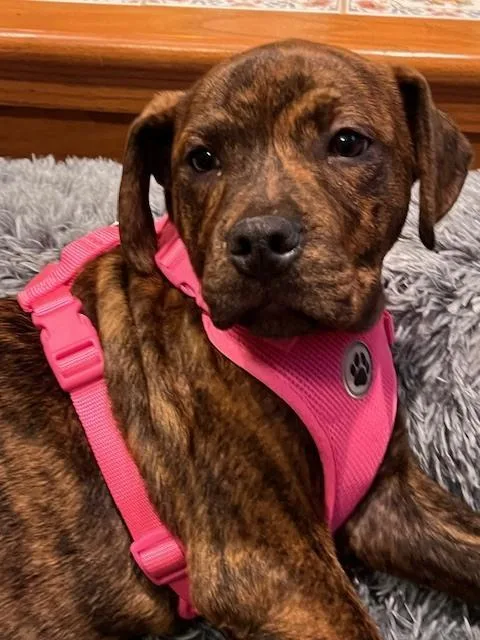 Milkyway thumbnail 4