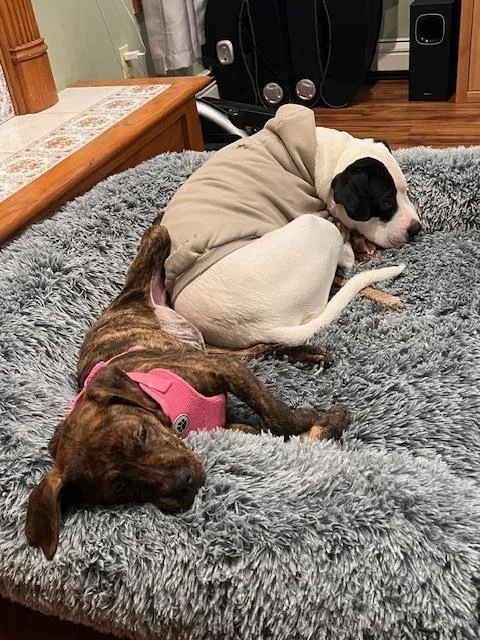 Milkyway thumbnail 5