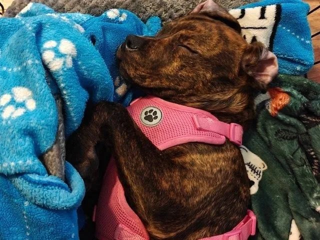 Milkyway thumbnail 6