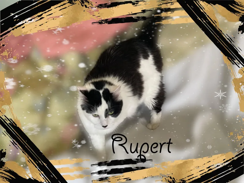 Rupert & Mora thumbnail 2