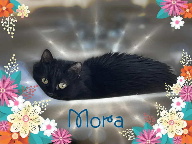 Rupert & Mora thumbnail 4