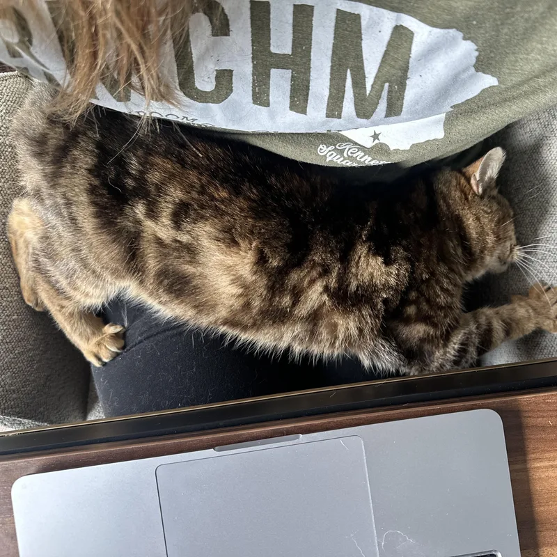 Betty Boop thumbnail 2