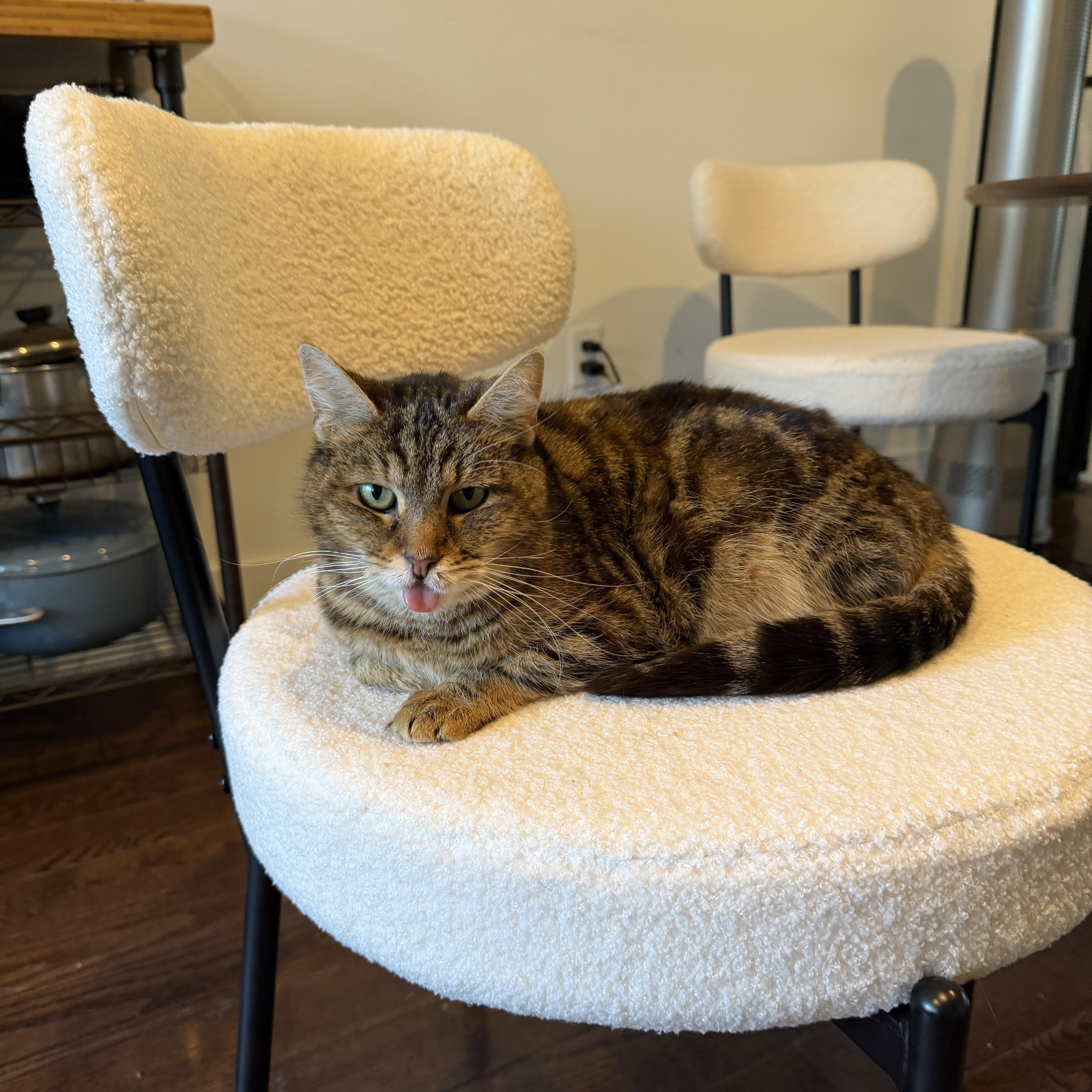 Betty Boop thumbnail 4