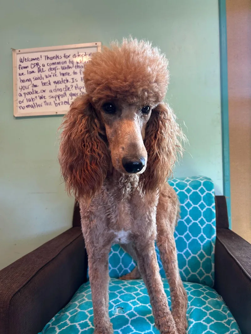 Frannie Feb thumbnail 2