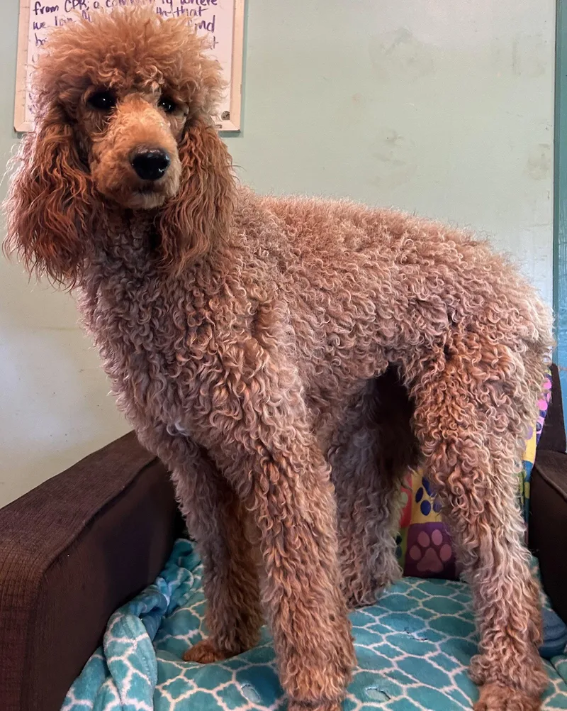 Frannie Feb thumbnail 3