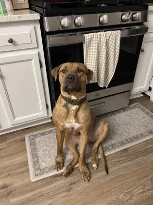 Plankton thumbnail 2