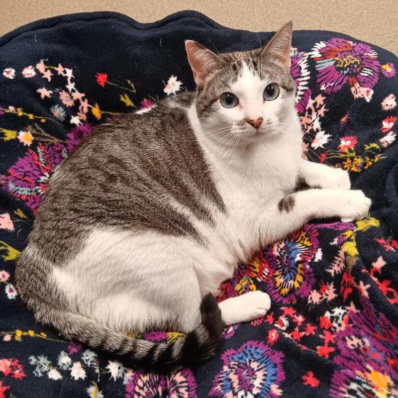 Charlotte thumbnail 3