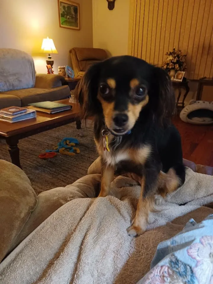 Hershey  Twizzler & thumbnail 3