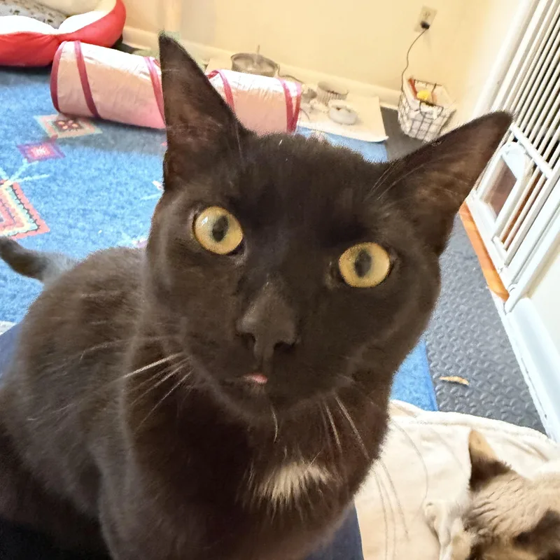 Otis And Theo thumbnail 2