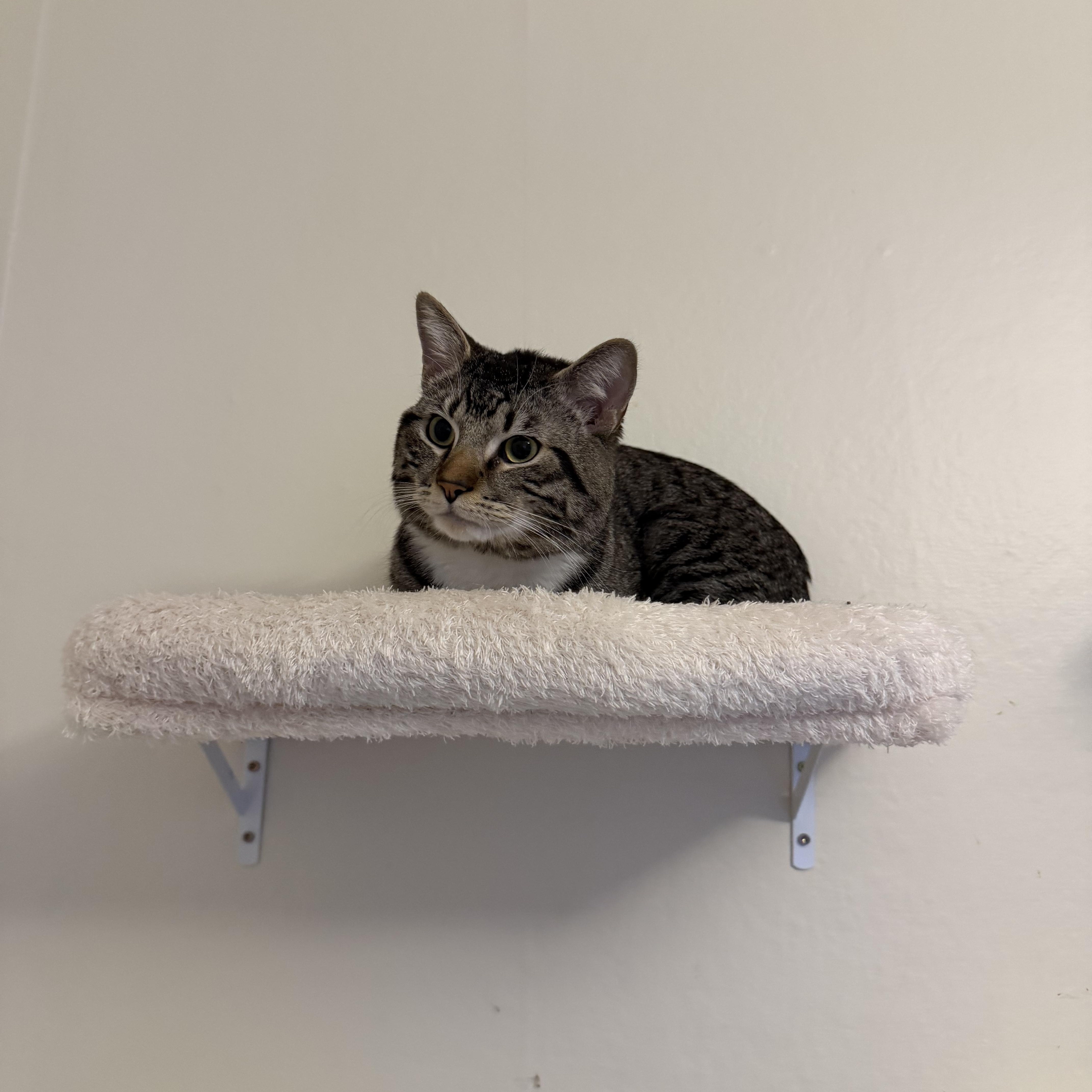 Otis And Theo thumbnail 4