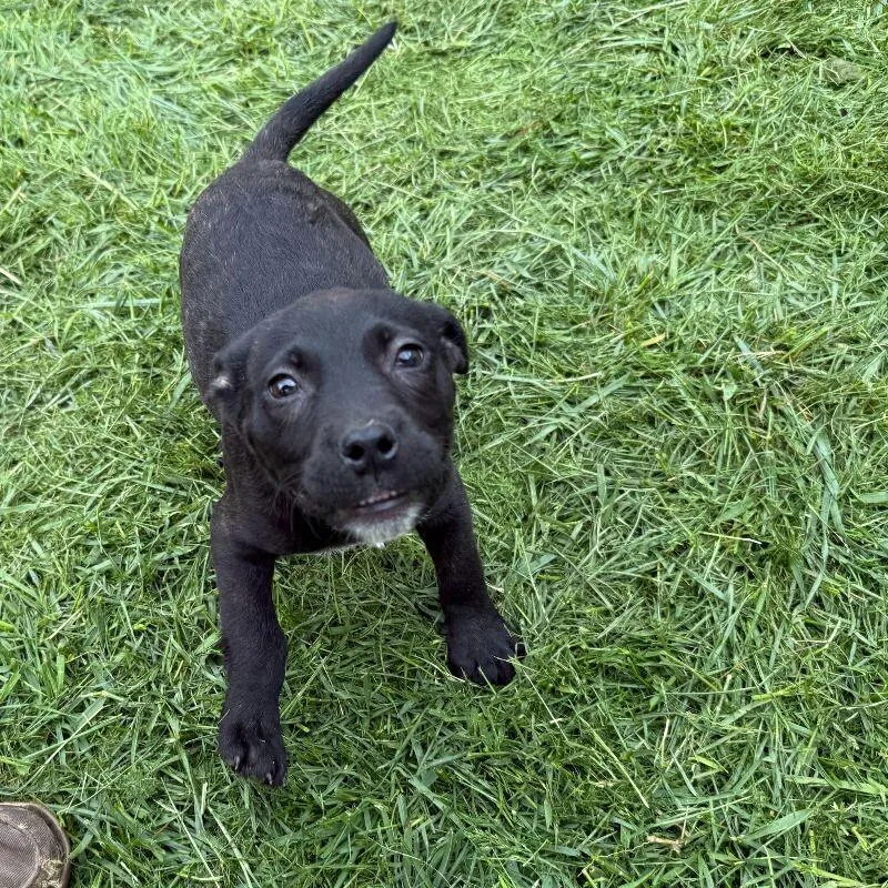 Sugar Baby thumbnail 2