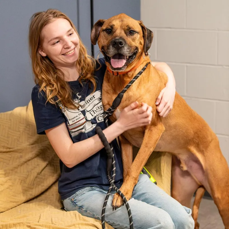Apollo Avail by Appt