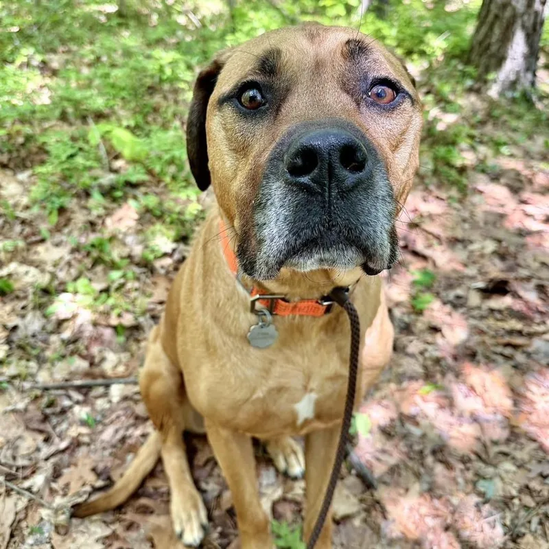 Apollo Avail by Appt thumbnail 6