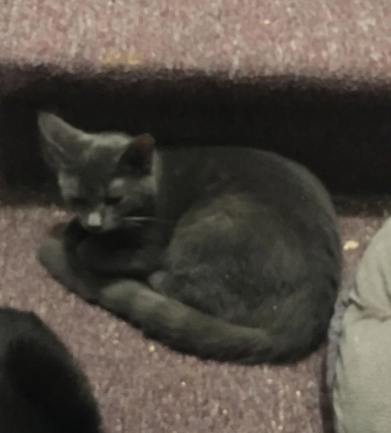 Sheri Bonded With Alison