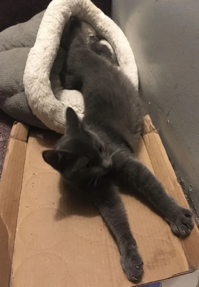 Sheri Bonded With Alison thumbnail 2