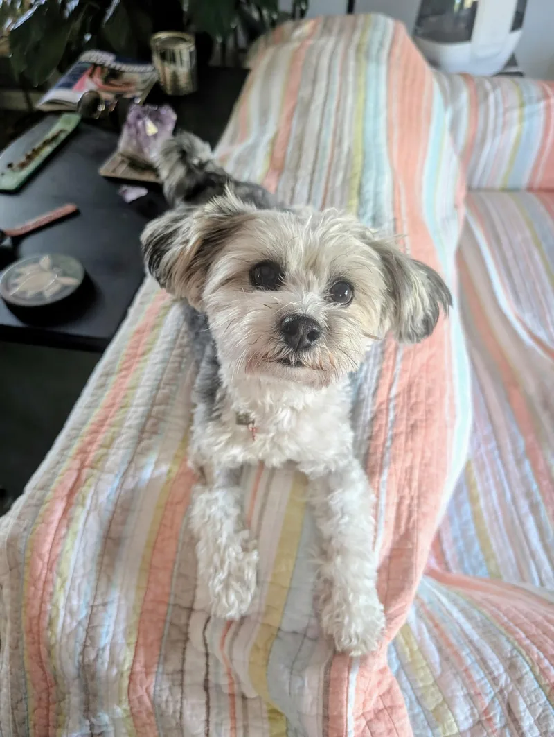 Winnie