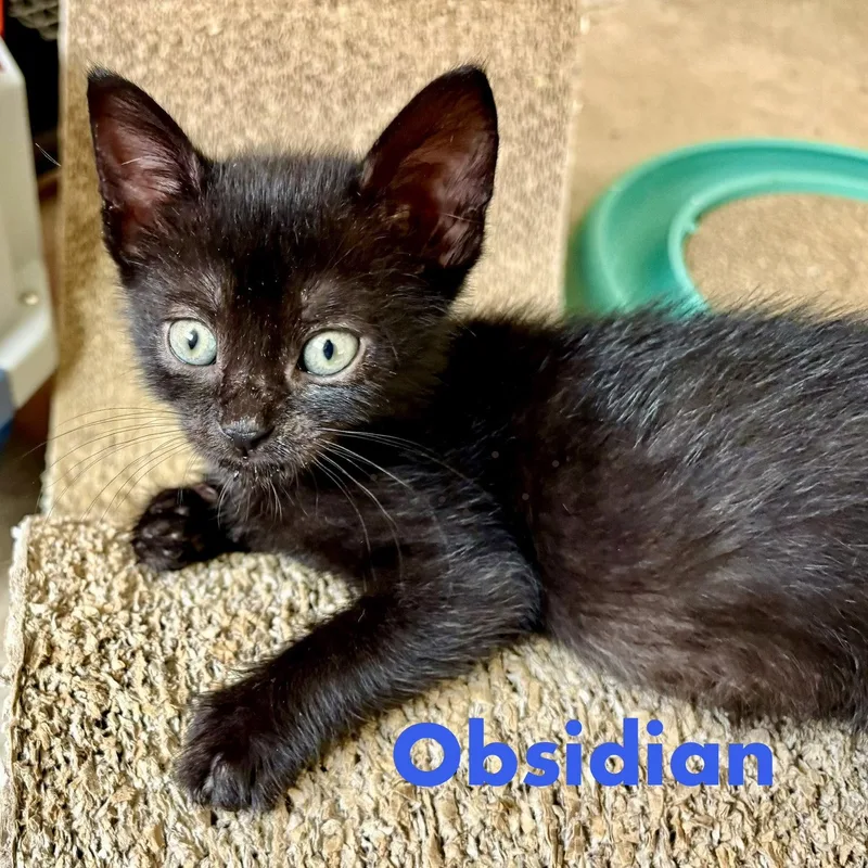 Obsidian thumbnail 2