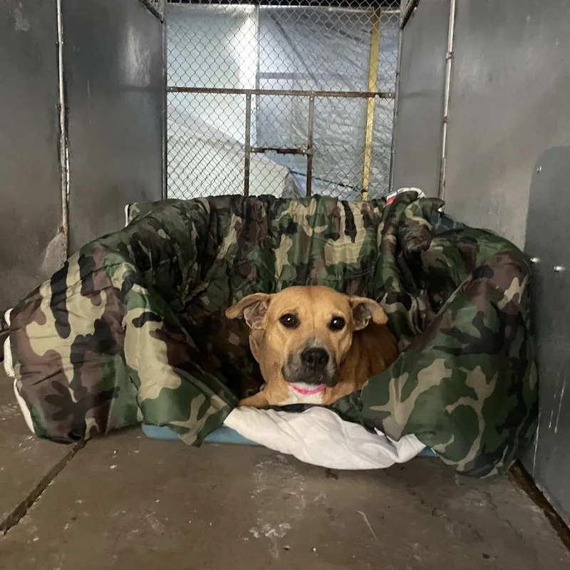 Psylocke thumbnail 3