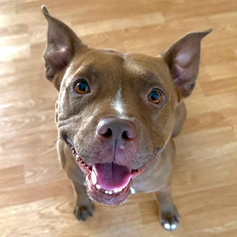 Blessing thumbnail 2