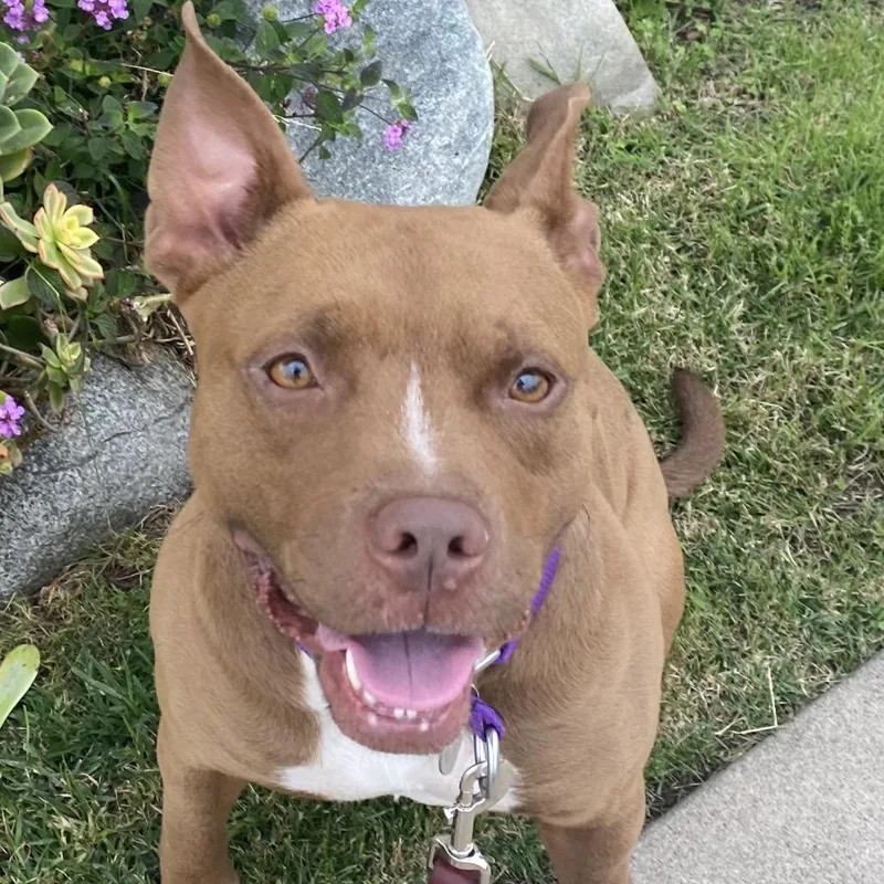 Blessing thumbnail 3