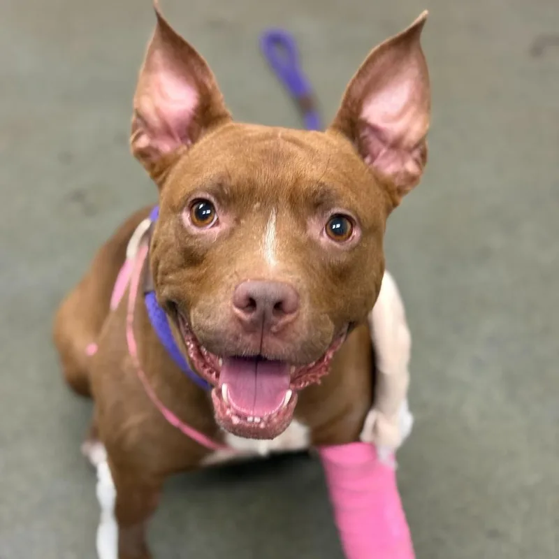 Blessing thumbnail 4