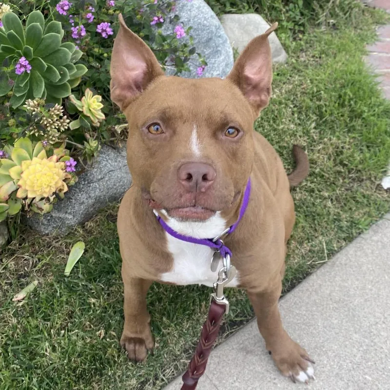 Blessing thumbnail 6