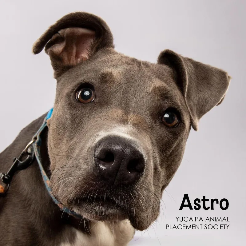 Astro
