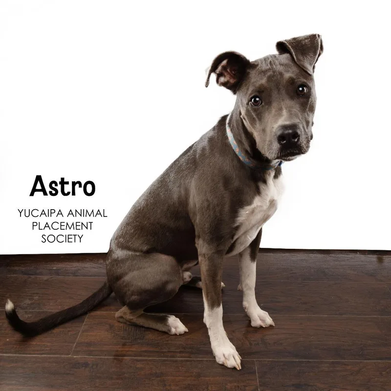 Astro thumbnail 2