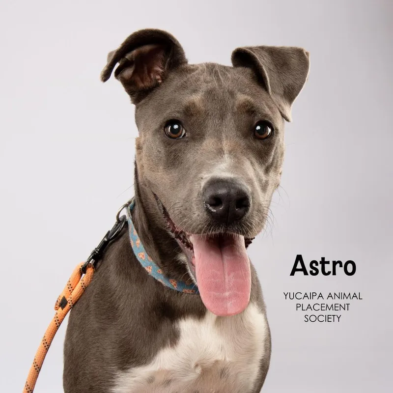 Astro thumbnail 4