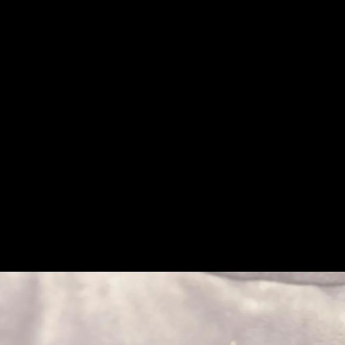 Tulip thumbnail 3