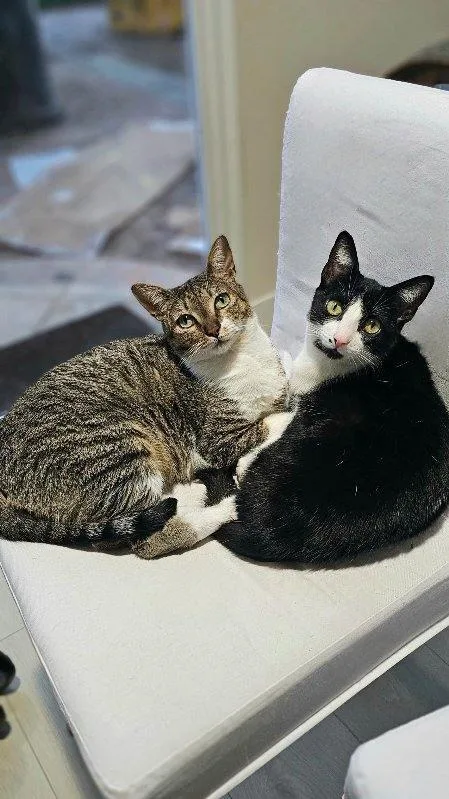 Lilly And Lilah Napa thumbnail 2