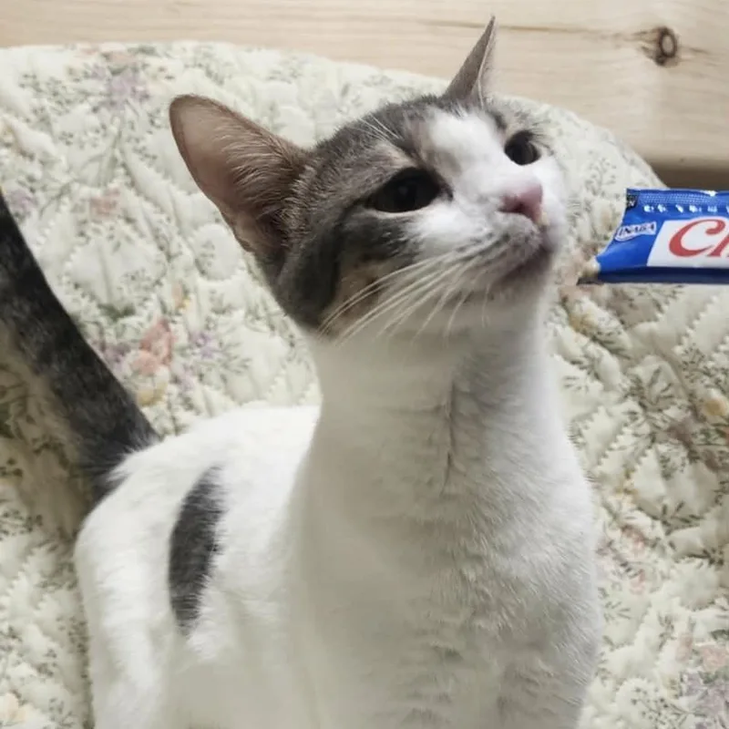 Scarlett thumbnail 2