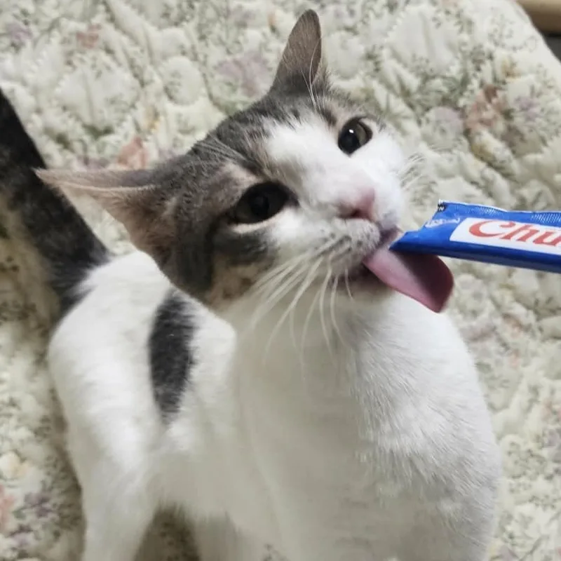 Scarlett thumbnail 3