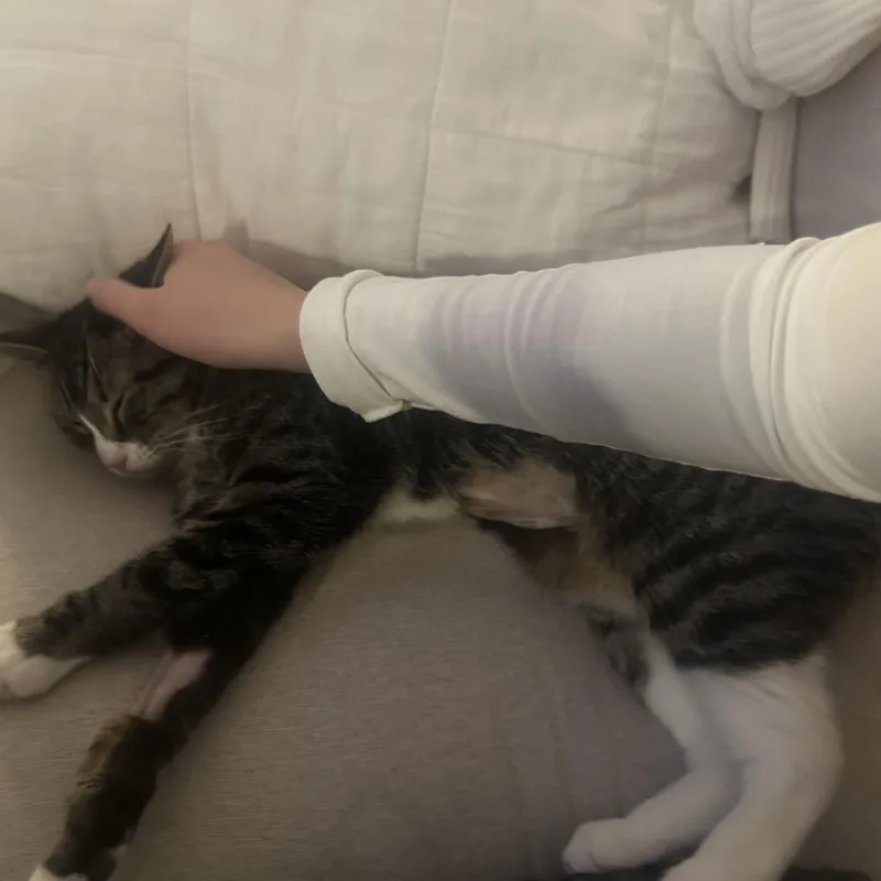 Cleopatra thumbnail 2